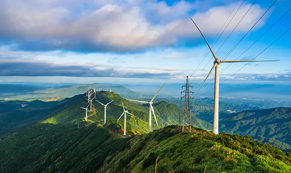 Global Market Layout: Seizing New Foreign Trade Opportunities